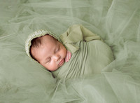 Newborn Everly